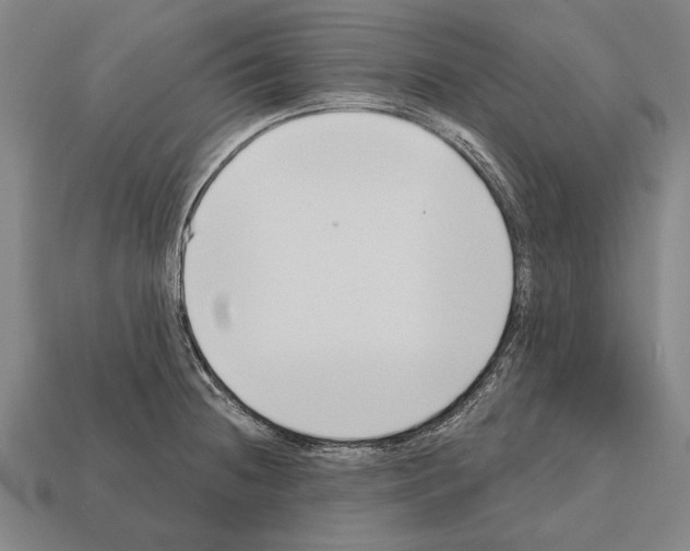 X0000112201236200909181526