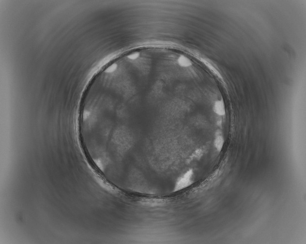 X0000112201237200909181526