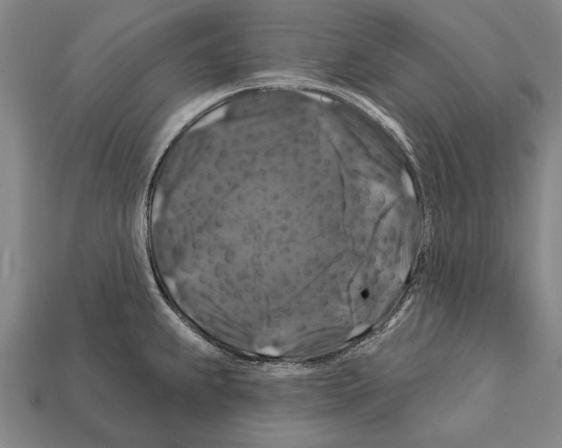 X0000112201239200909181527