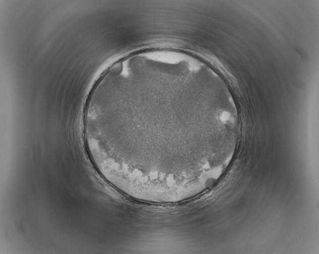 X0000112201240200909181527