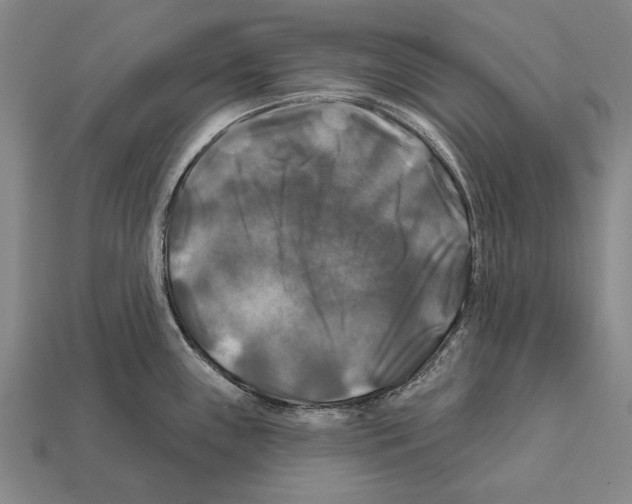 X0000112201243200909181527