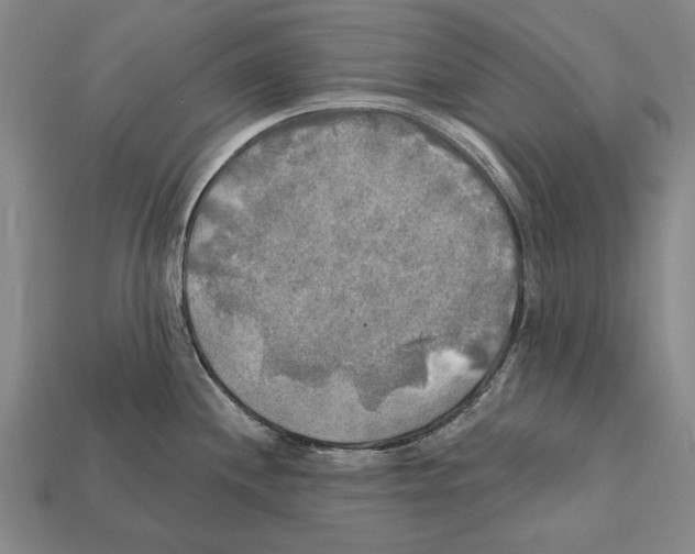 X0000112201244200909181527