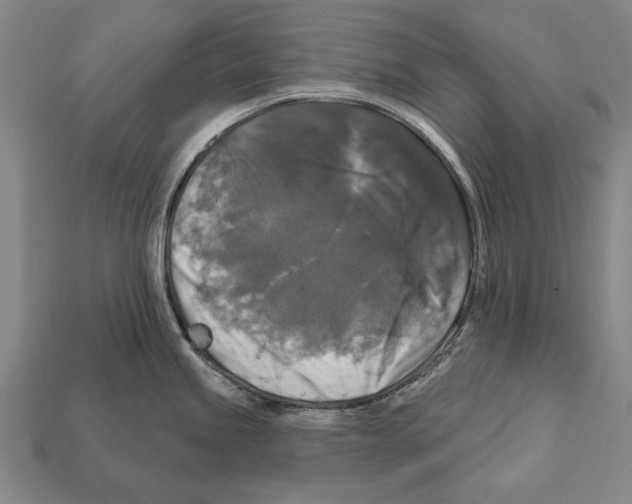 X0000112201245200909181527
