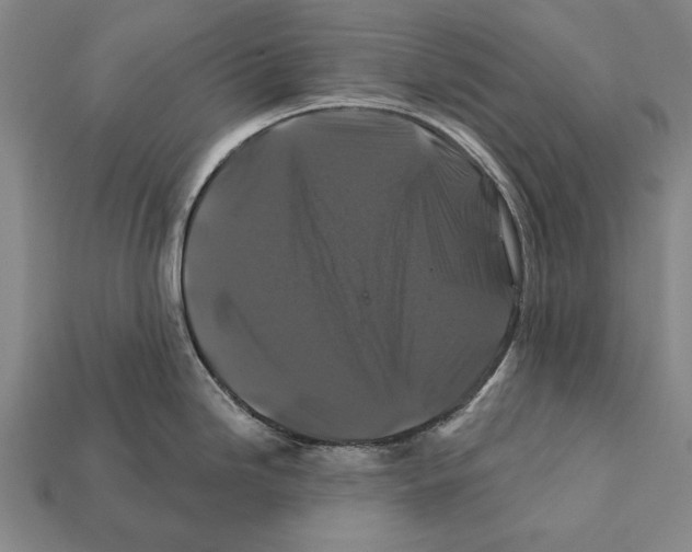 X0000112201246200909181527