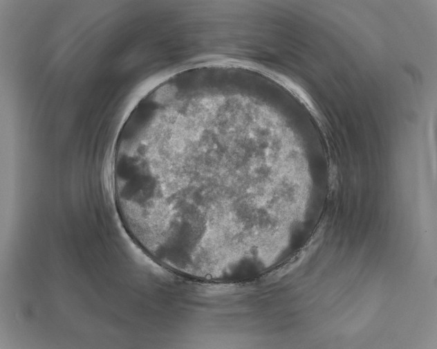 X0000112201247200909181527