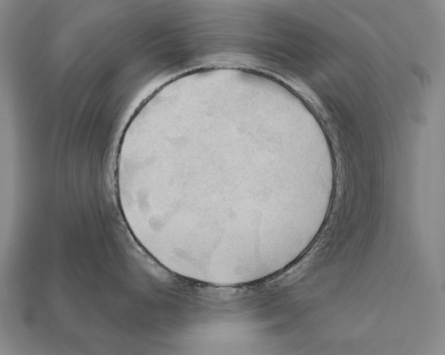 X0000112201248200909181527
