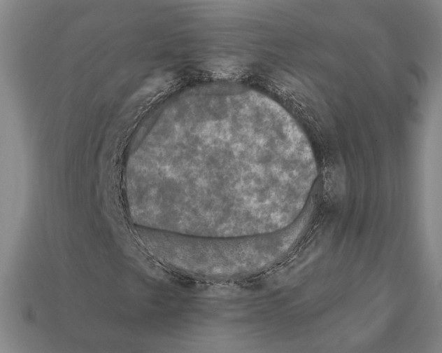 X0000112201249200909181526