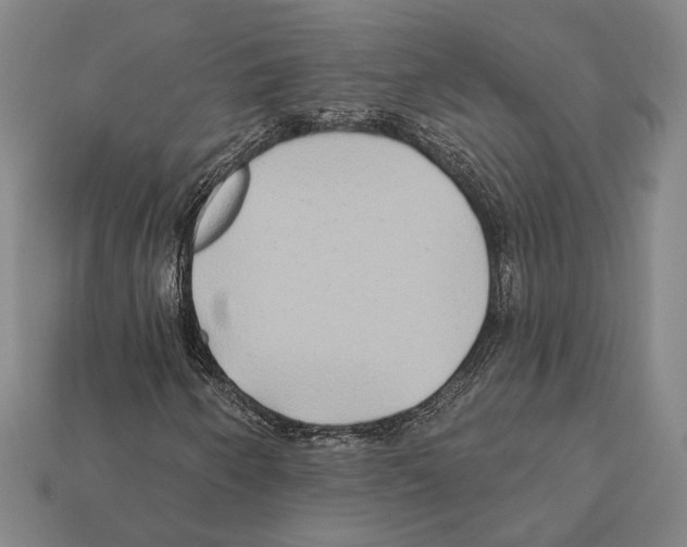 X0000112201250200909181526