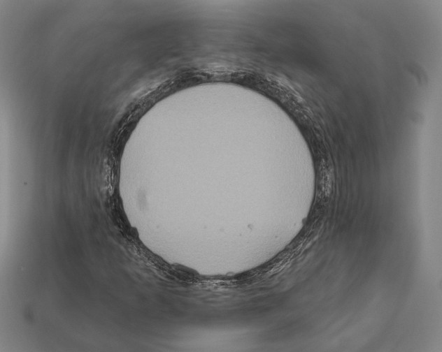 X0000112201253200909181526