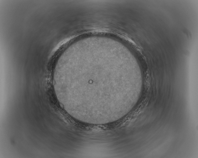 X0000112201255200909181526