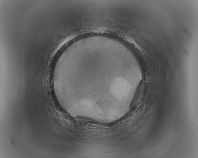 X0000112201256200909181526