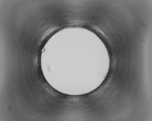X0000112201259200909181526