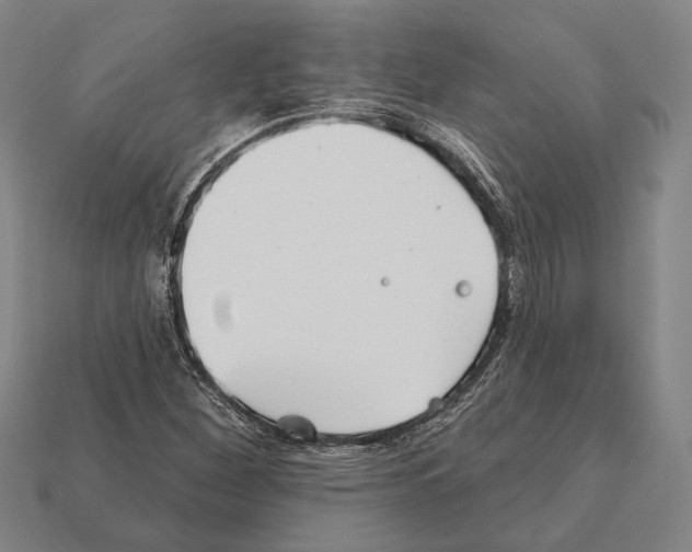X0000112201260200909181526