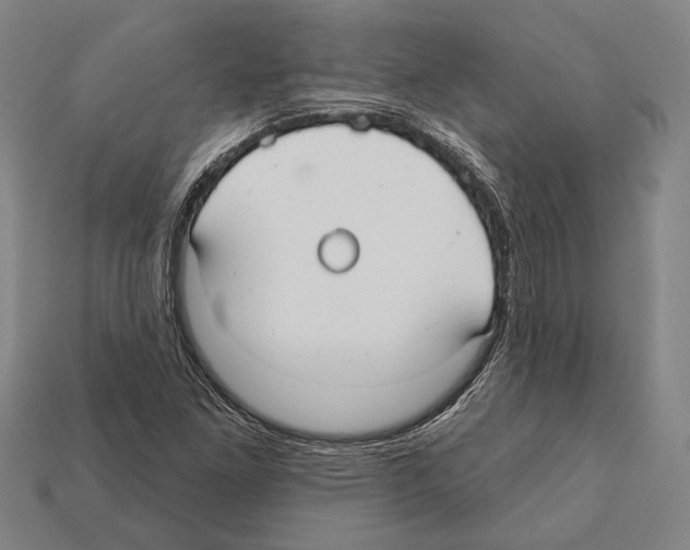 X0000112201261200909181526