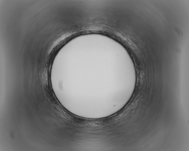 X0000112201262200909181526