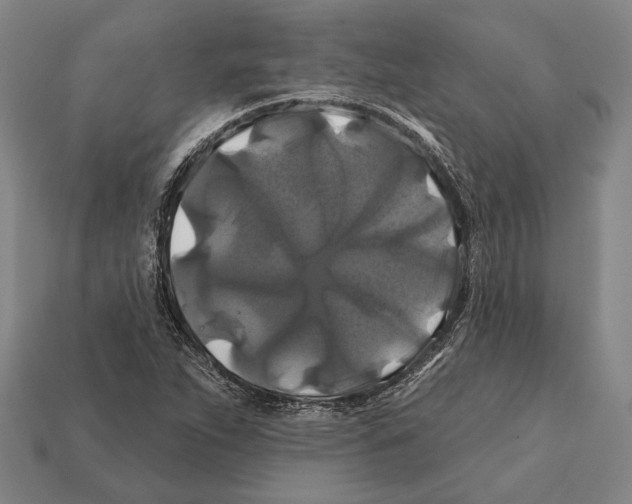 X0000112201263200909181526
