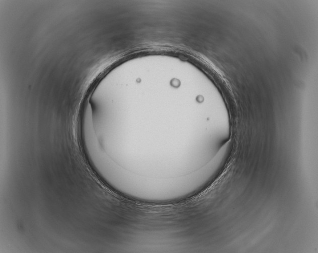 X0000112201269200909181526