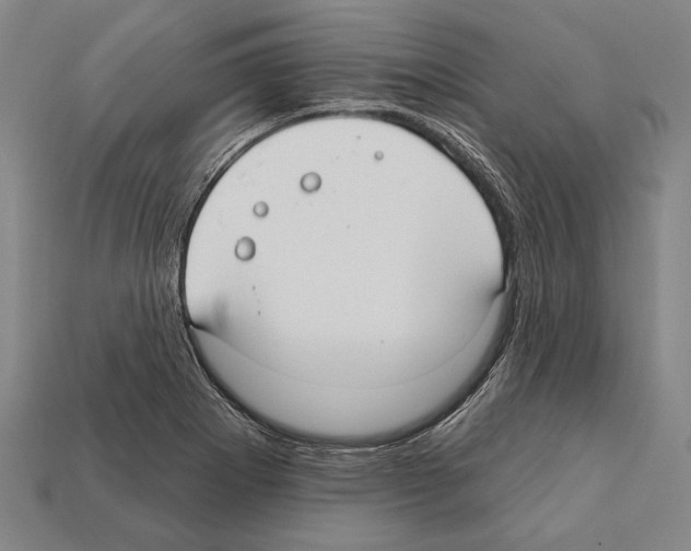 X0000112201273200909181526