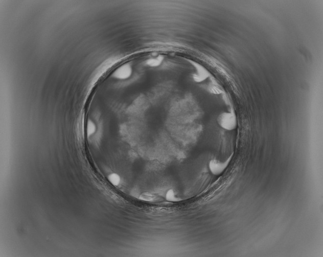 X0000112201275200909181526