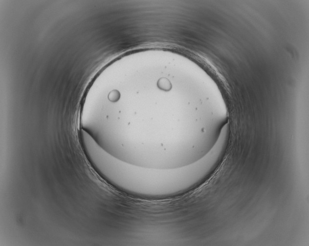 X0000112201276200909181526