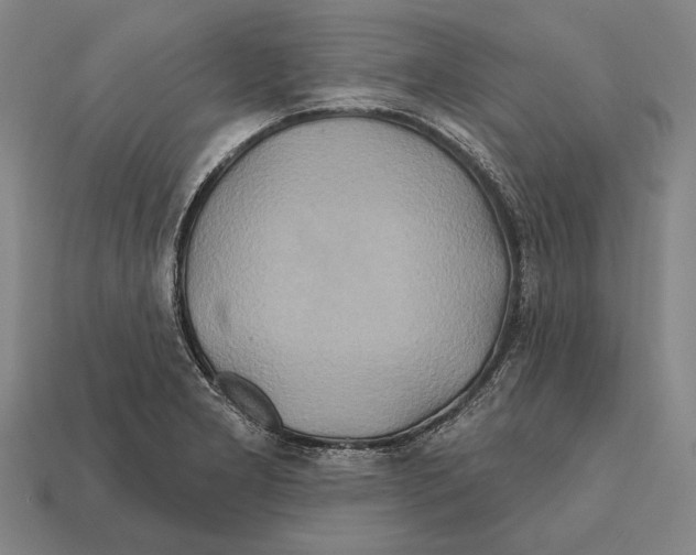 X0000112201277200909181526