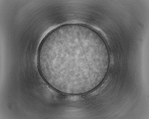 X0000112201278200909181525