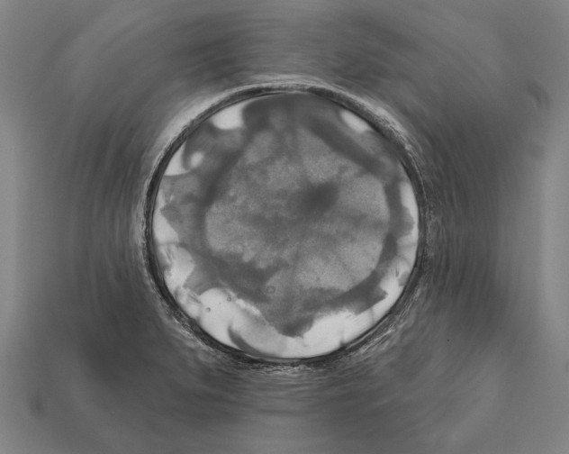 X0000112201279200909181525