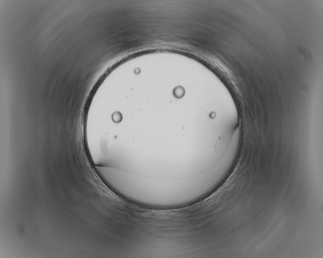 X0000112201280200909181525