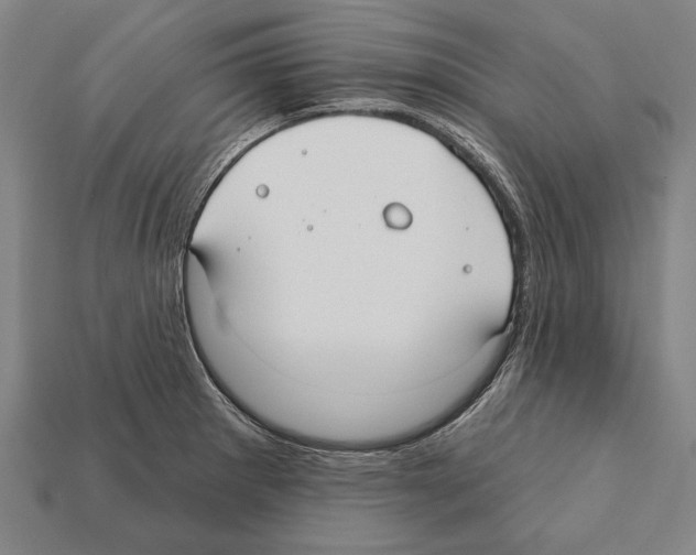 X0000112201281200909181525