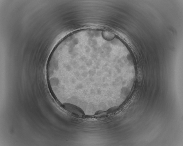 X0000112201283200909181525