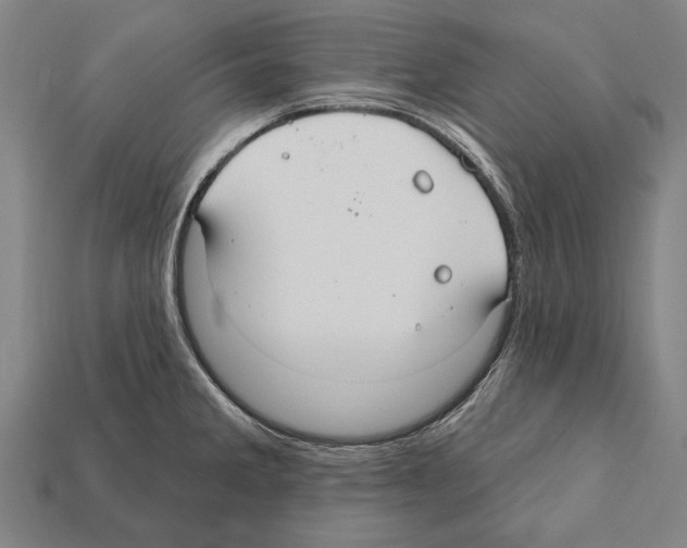 X0000112201285200909181525