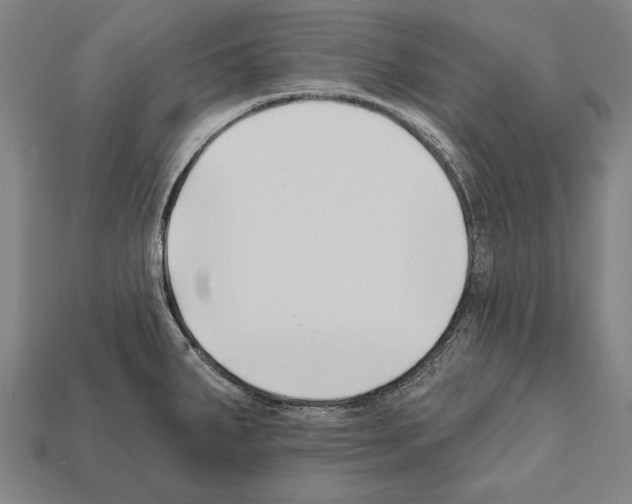 X0000112201287200909181525