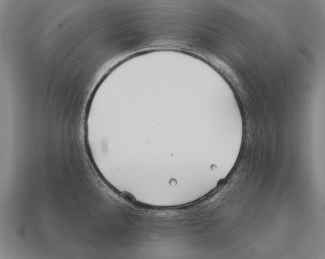 X0000112201288200909181525