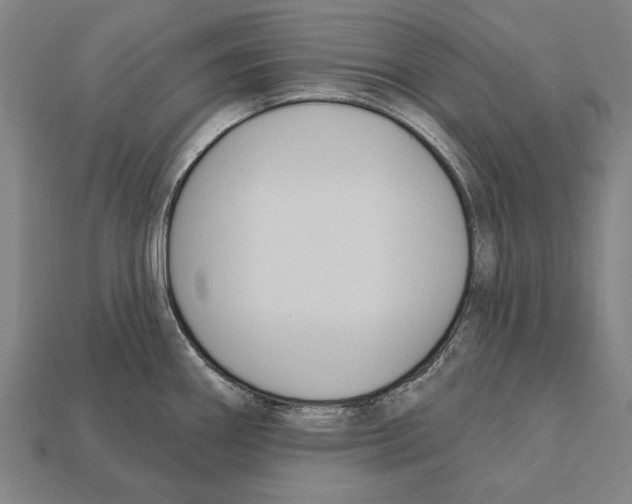 X0000112201290200909181525