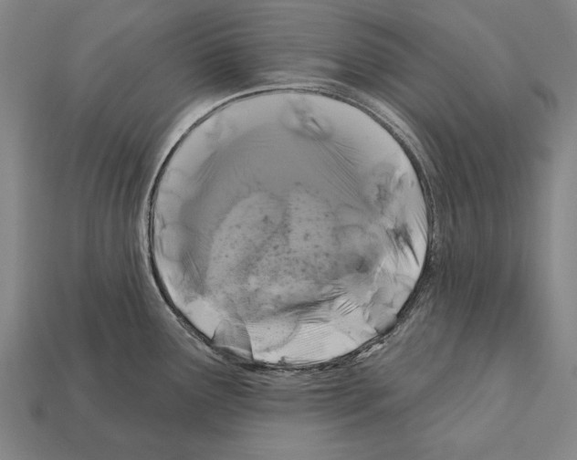 X0000112201291200909181525