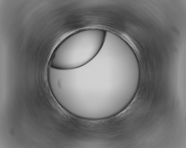 X0000112201292200909181525