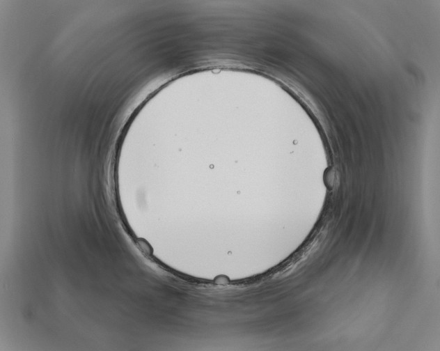 X0000112201293200909181525