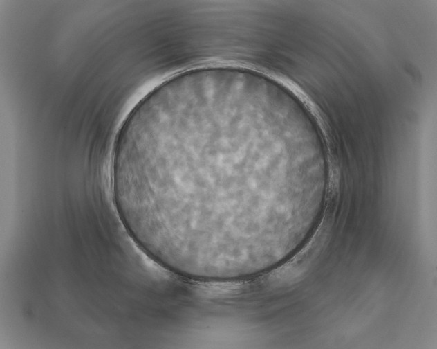 X0000112201294200909181525