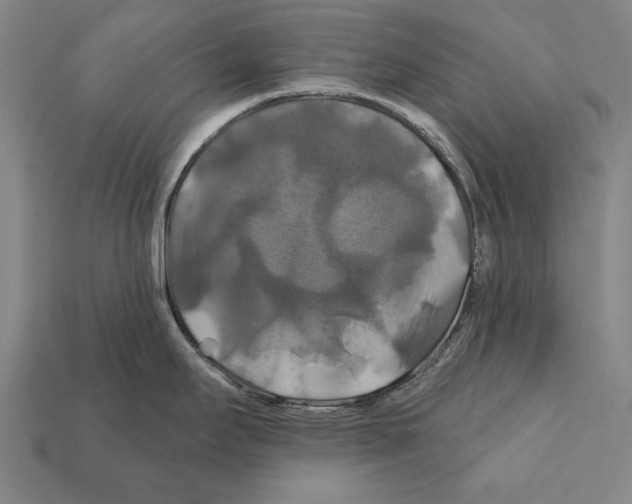 X0000112201295200909181525