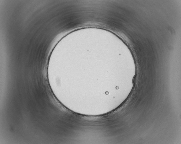 X0000112201296200909181525