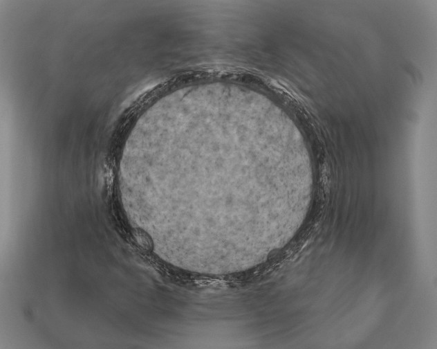 X0000112201302200909181525