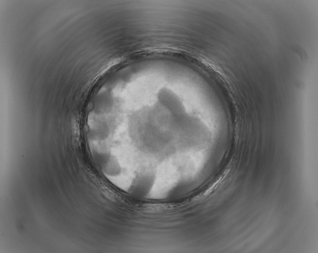 X0000112201305200909181525