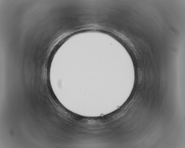 X0000112201318200909181525
