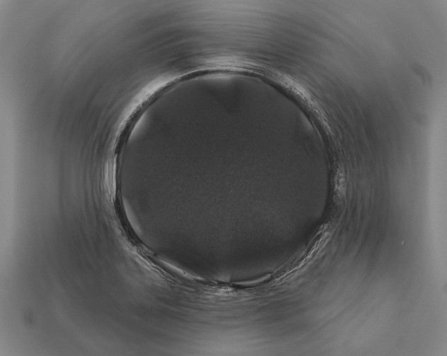 X0000112201323200909181525