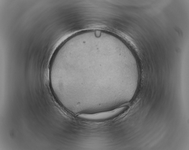 X0000112201324200909181525