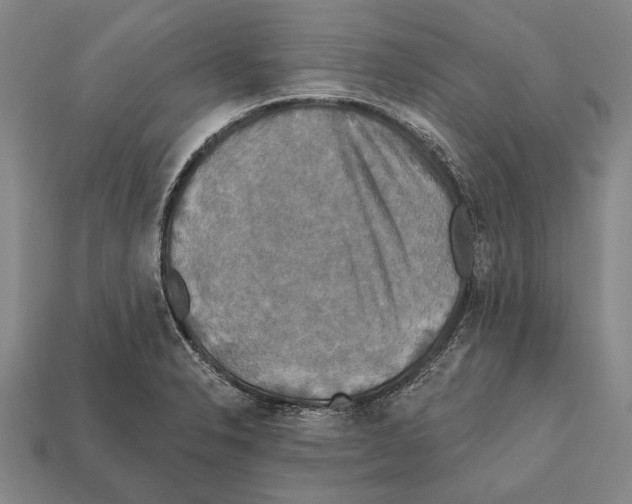 X0000112201326200909181525