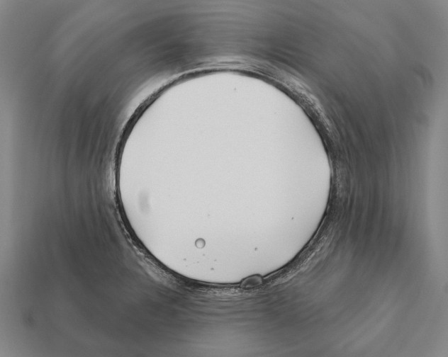 X0000112201328200909181525