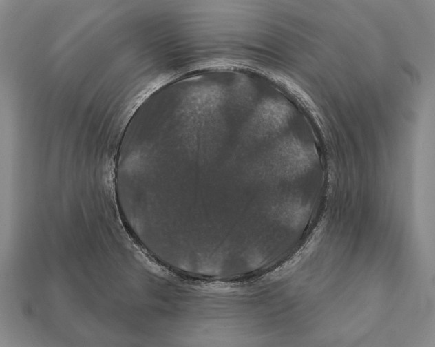 X0000112201329200909181525