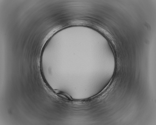 X0000112201330200909181525