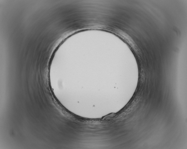 X0000112201332200909181525